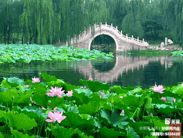 家乡新貌（图5）