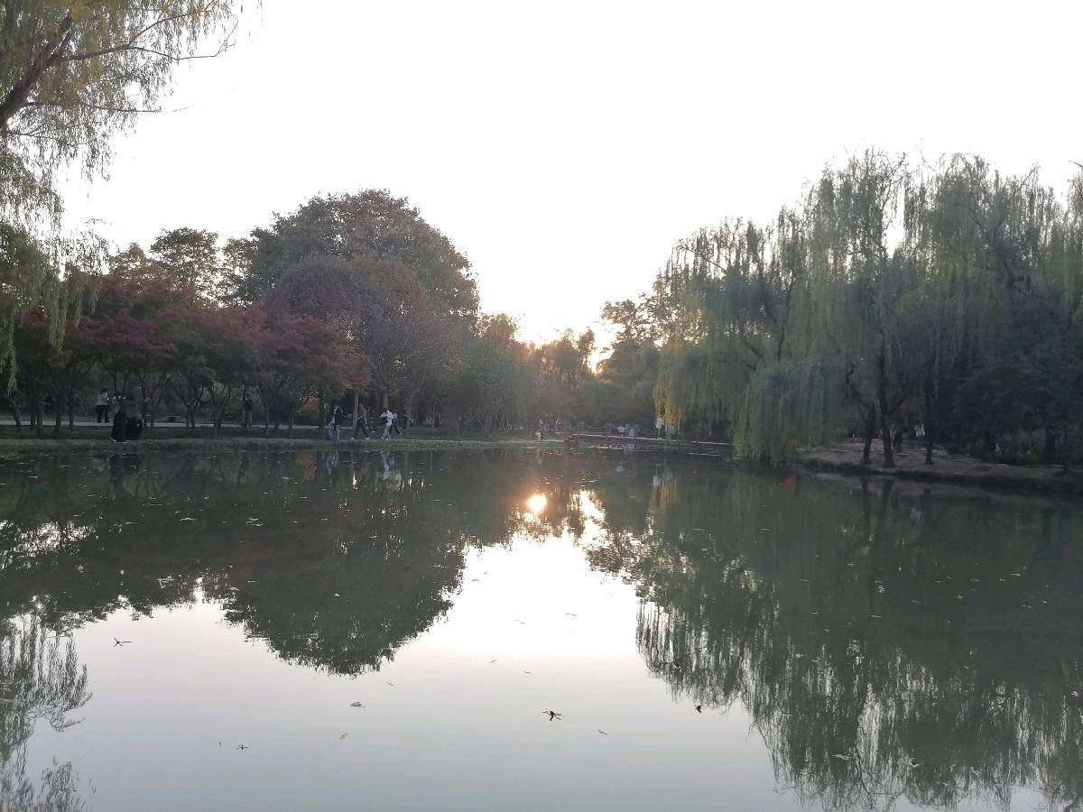 你是我的眼