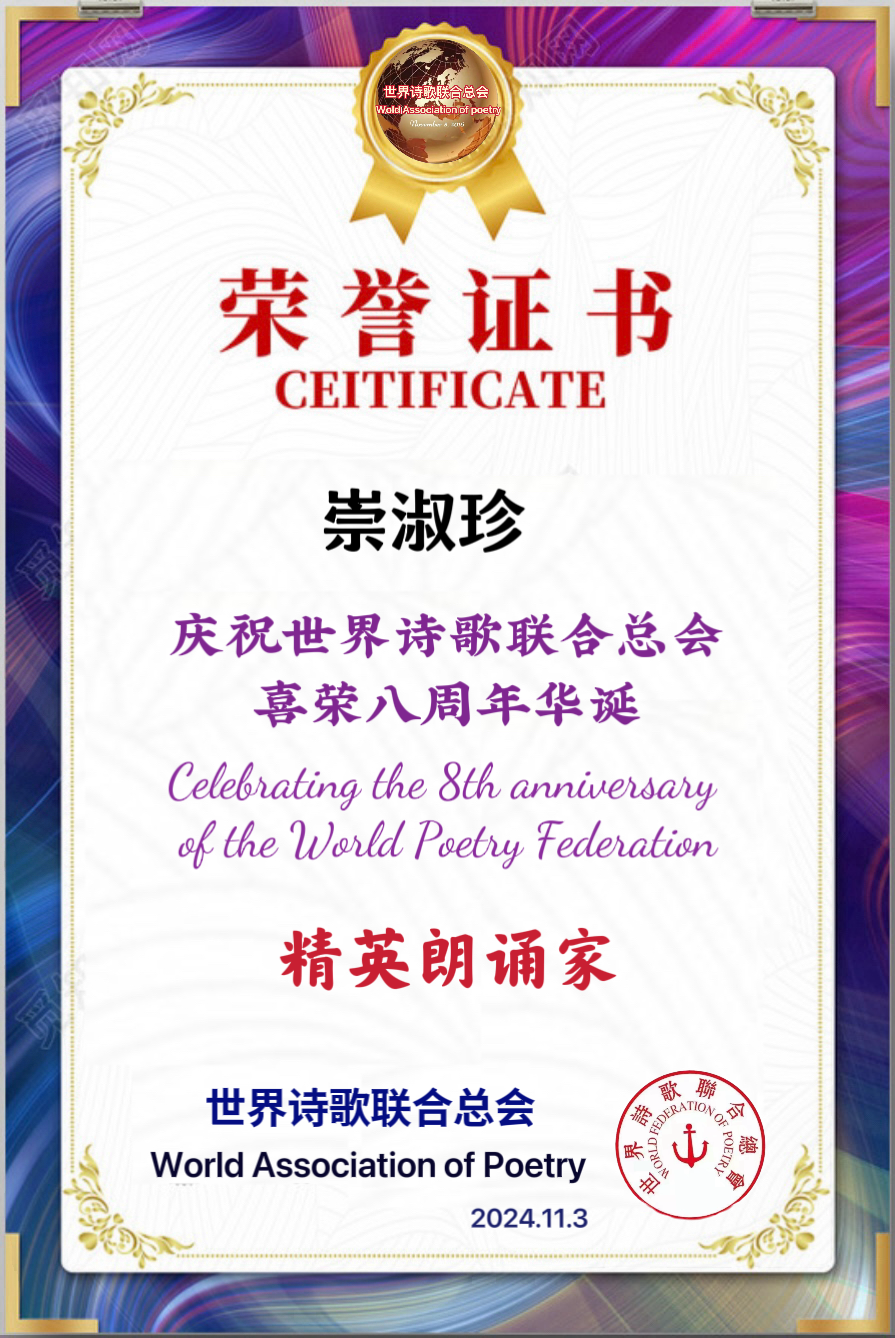 崇淑珍朗诵诗童辩证法《金话筒奏响最强音》世界诗会八周年庆典11号作品（图6）