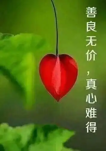 🇨🇳【中国诗人】第1592篇（名家风采）《呈》（外一首）// 文:海宇玛（图3）