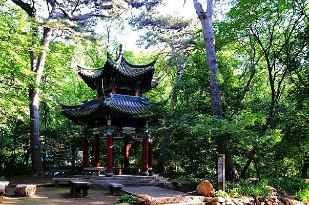 《家乡美》作者:田歌 [中国现代诗歌文化传媒]（图12）