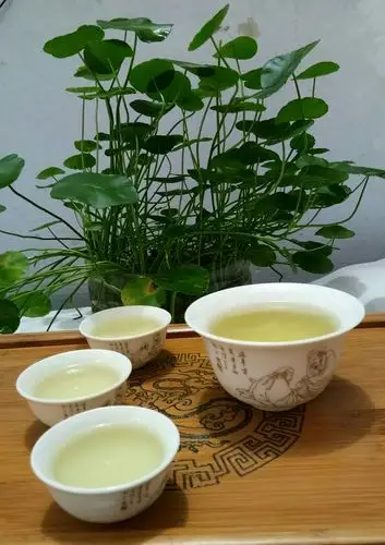 陈正的《七绝•信阳车云山茶舍吃茶》