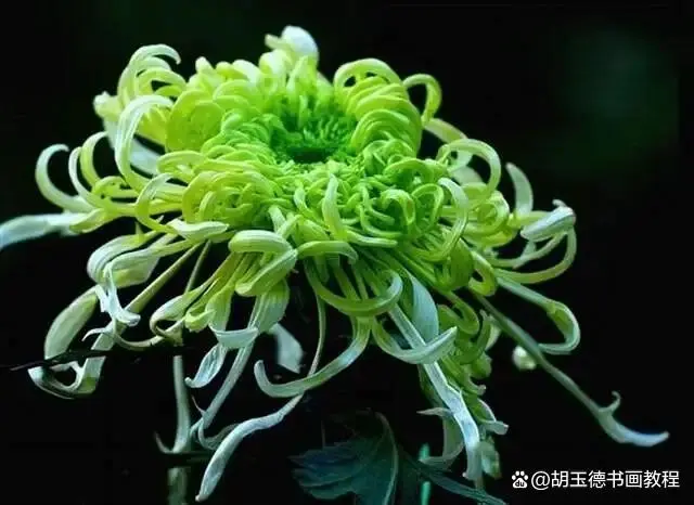 荐赏: 寒冬（外一首）//文:海阔天空//《诗海洋》征稿（图6）