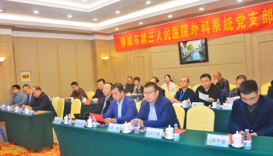 聊城市医学会第三届手足外科专业委员会2024年学术会议在岳麓大酒店成功举办（图7）