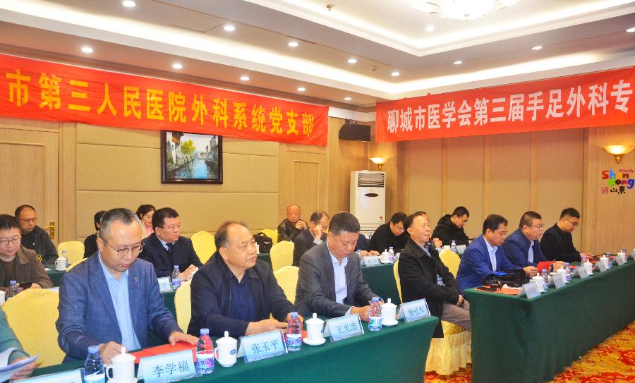 聊城市医学会第三届手足外科专业委员会2024年学术会议在岳麓大酒店成功举办（图8）