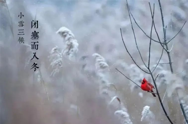 小雪/作者：线连石（图3）