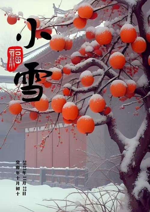 家明朗诵《小雪抒怀词牌吟》文:诗童/江花(北京)长安街总社【世界诗人名人展】10338期(图7)