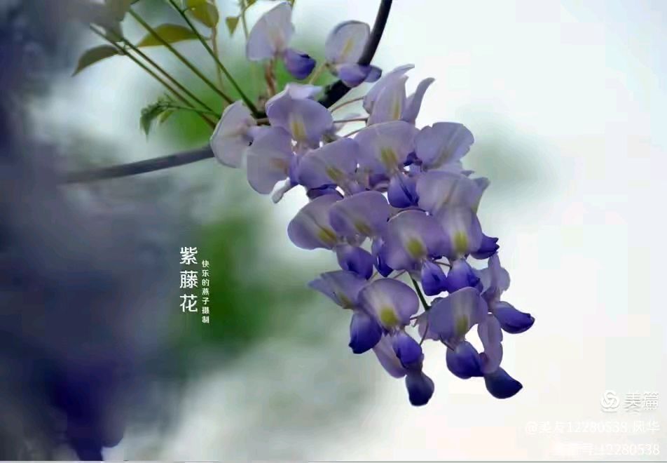 风华诗词四首（图2）