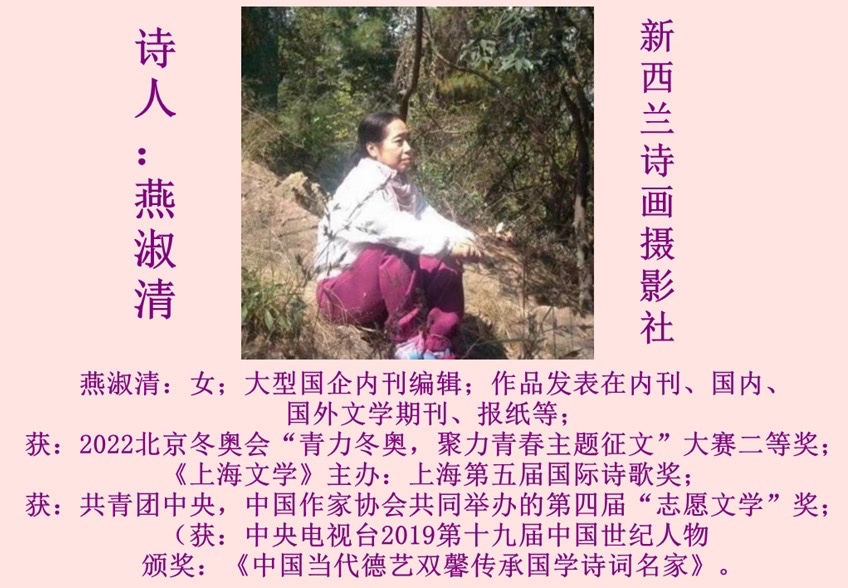 ㊗️1.1世界诗歌春晚文化日二周年献礼💐新西兰诗画摄影社【新西兰总社】世界诗人名人展10348期(图8)