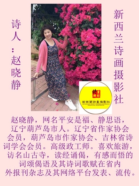 ㊗️1.1世界诗歌春晚文化日二周年献礼💐新西兰诗画摄影社【新西兰总社】世界诗人名人展10348期(图16)