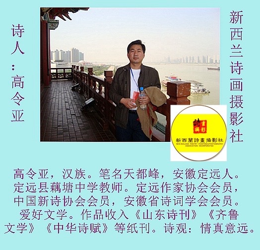 ㊗️1.1世界诗歌春晚文化日二周年献礼💐新西兰诗画摄影社【新西兰总社】世界诗人名人展10348期(图28)