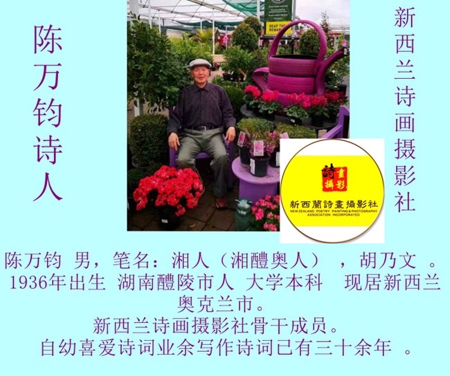 ㊗️1.1世界诗歌春晚文化日二周年献礼💐新西兰诗画摄影社【新西兰总社】世界诗人名人展10348期(图34)