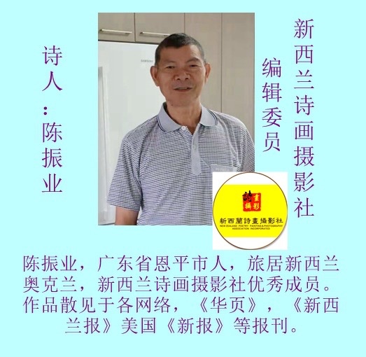 ㊗️1.1世界诗歌春晚文化日二周年献礼💐新西兰诗画摄影社【新西兰总社】世界诗人名人展10348期(图42)