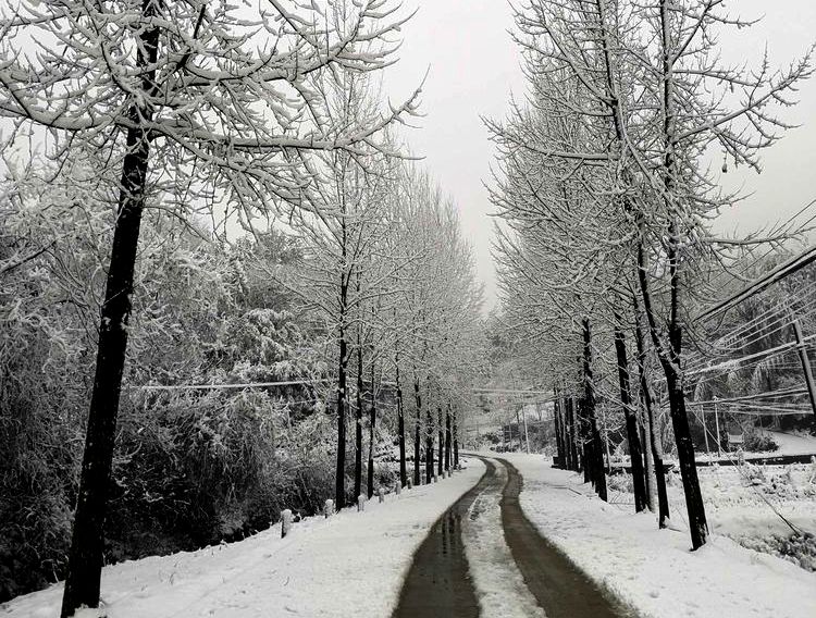 【诗词】大雪吟/作者：尹连荣（图4）