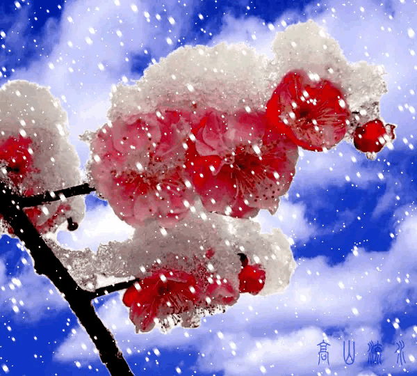 王珉诗歌《家乡的雪》 主播：瑞雪丰年 编辑：小鱼儿 【秦岛韵声】（第1246期）（图3）