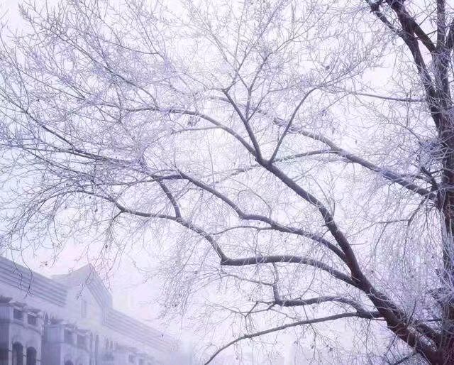 【上海文学社】古韵飘香187期