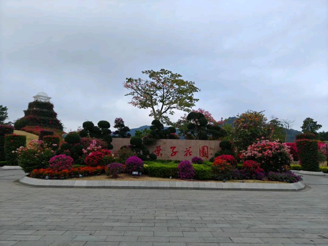 短篇小说集《希望的土地》/作者：谢云峰（图4）