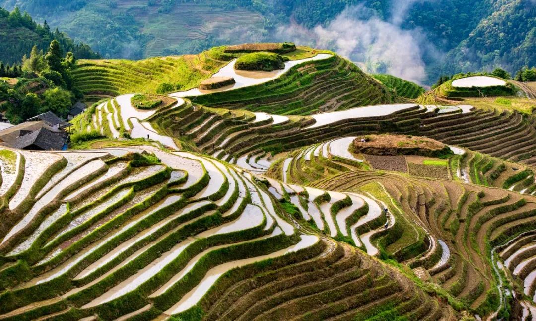 短篇小说集《希望的土地》/作者：谢云峰（图5）