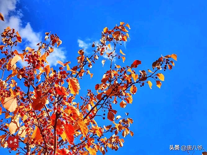 红色文化诗词精选26期(图58)