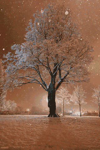 【蓝天诗社】黄文贵个人专辑 《沁园春.雪》天降琼英，地盖银纱，树裹羽绒。赏纷飞漫卷，山峦着甲。（图8）