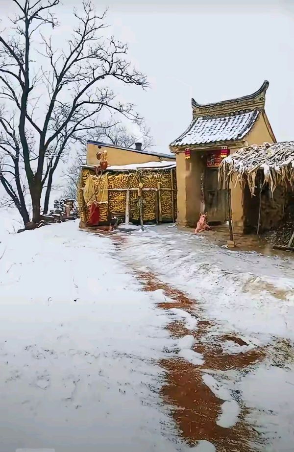 【黄河故道文化】总第5479期（图4）