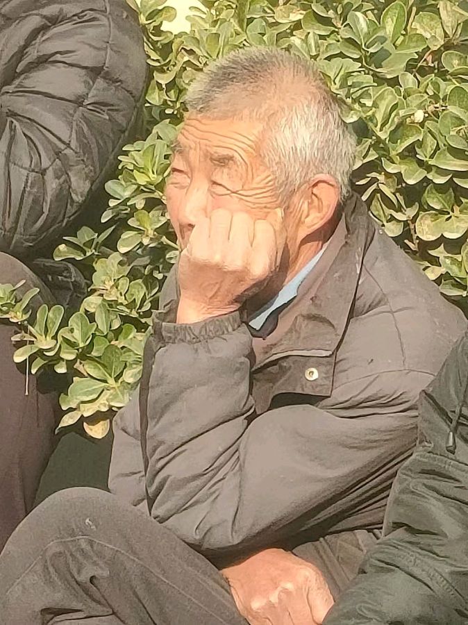【黄河故道文化】总第5479期（图3）