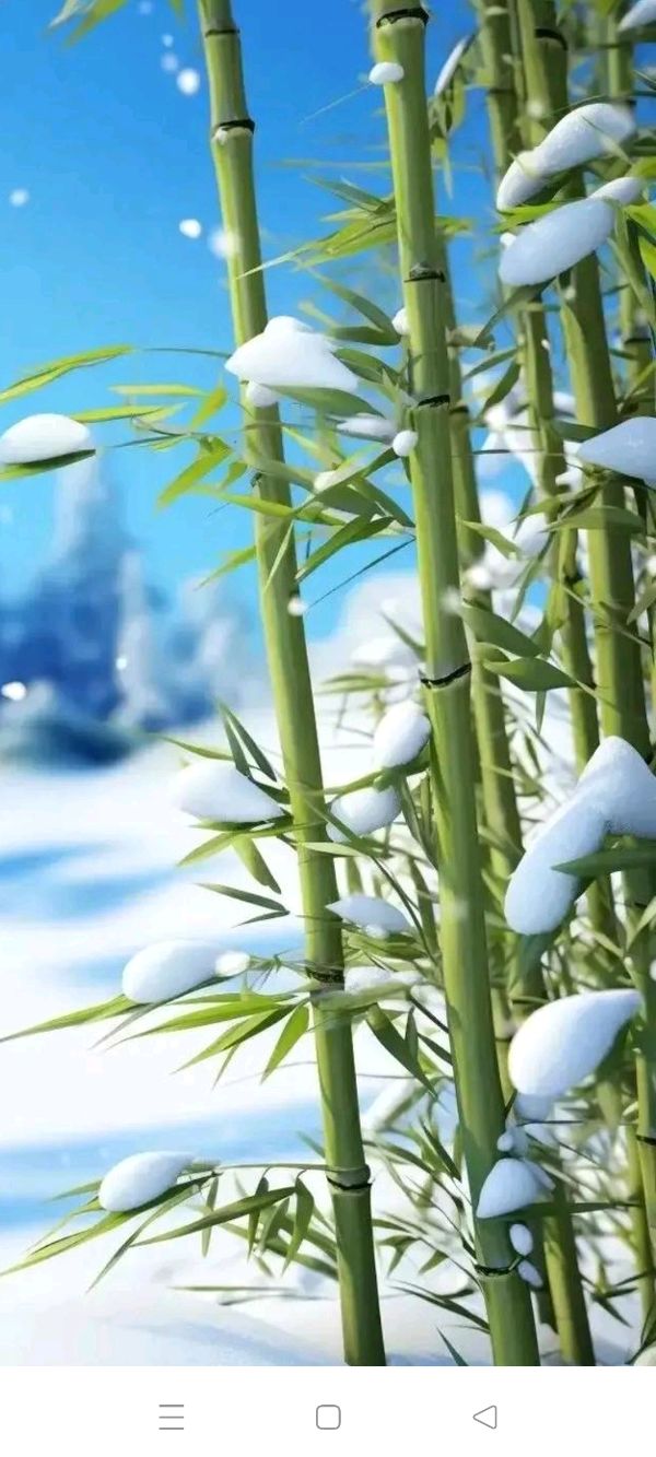大雪狂想曲（图3）