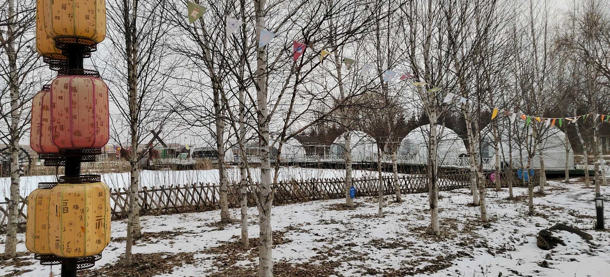 《吉林易经学会·2024 年会：学全会精神，话易学新篇，年度荣耀盛典开启》（图10）