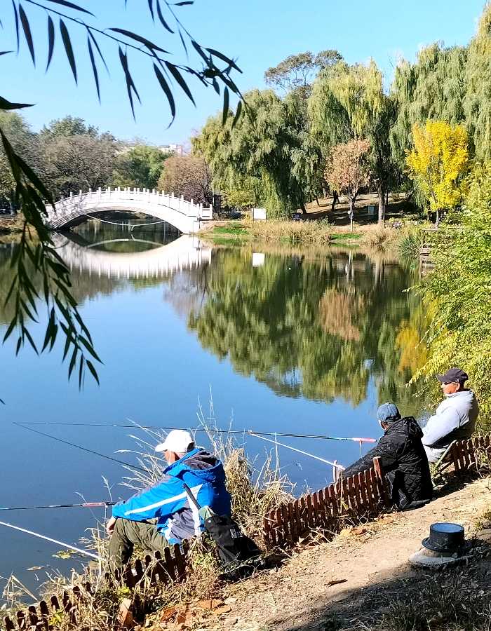 欣赏春志老师七绝·万泉垂钓(图2)