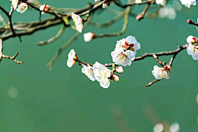王金政的《江湖》