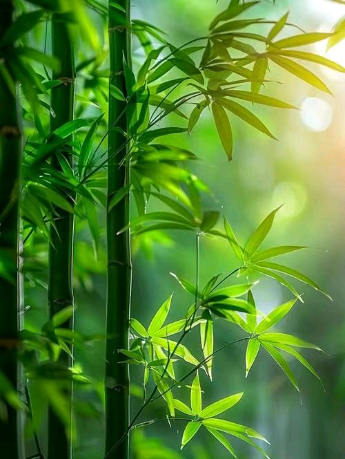 岁寒三友/作者：李德强（图5）