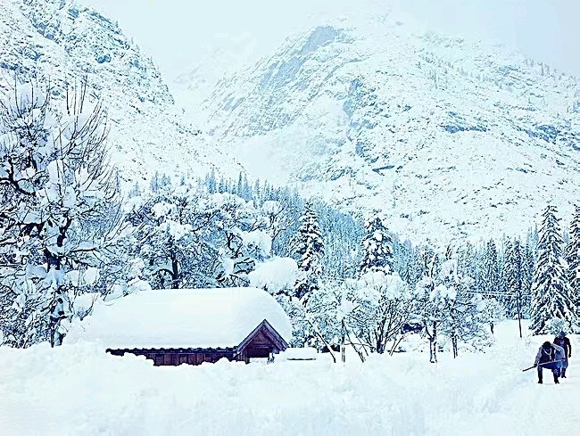 雪落情怀（外一首）（图2）