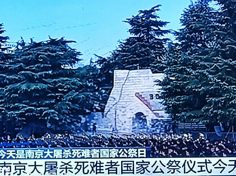 【勿忘国耻】写在第11个南京大屠杀死难者国家公祭日：文/颜宝祥（青海西宁）（图21）