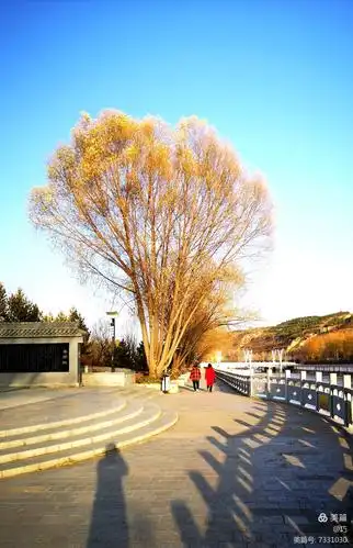 荐赏:晨游涧河公园（外二首）//文: 海阔天空//《诗海洋》征稿……（图3）