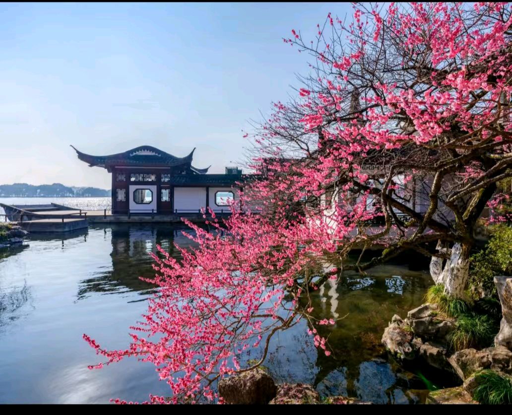 【上海文学社】古韵飘香192期‖每周题图（图5）