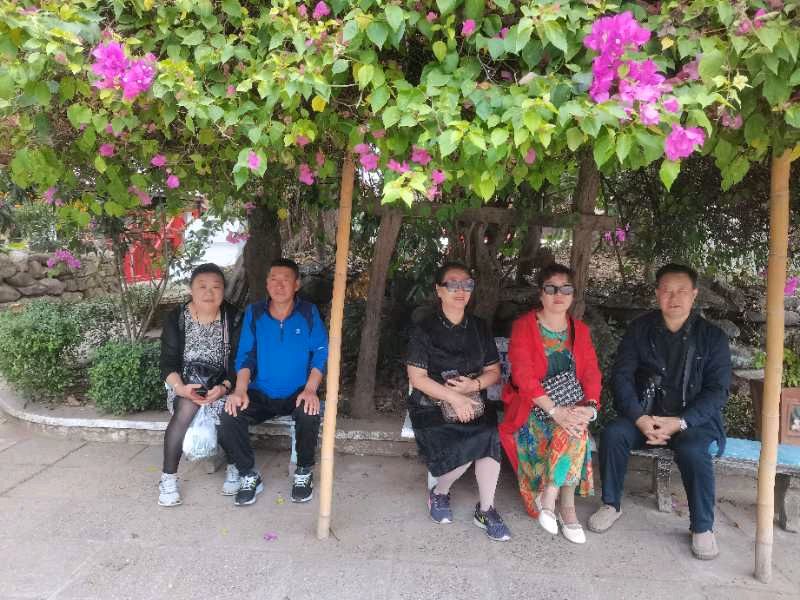 老挝等地留下了我们的足迹——天鹅湖艺术团西双版纳旅居部分朋友游记（图27）