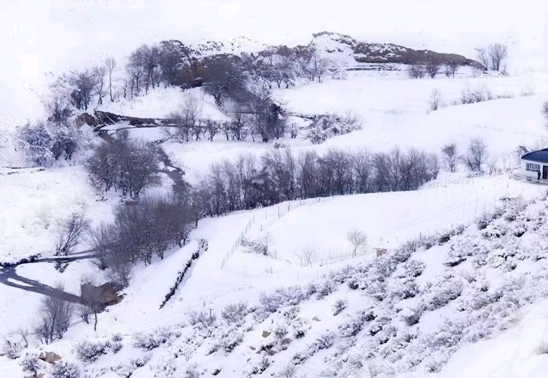 刘书春《冬之歌.雪》（图2）