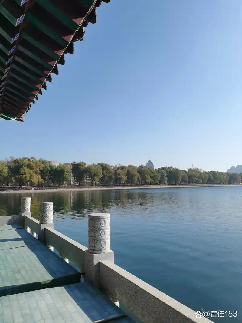 聂冬丽的《五律*冬至游南湖》