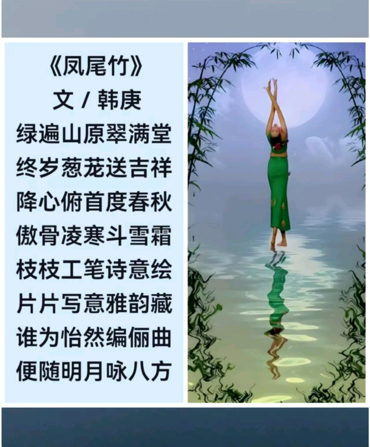 韩庚的《凤尾竹》