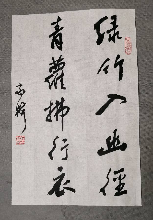 看央视（宗师列传.大唐诗人传.李白）赏李白诗，书李白诗。张敬梅书李白诗名句条幅一组（图2）