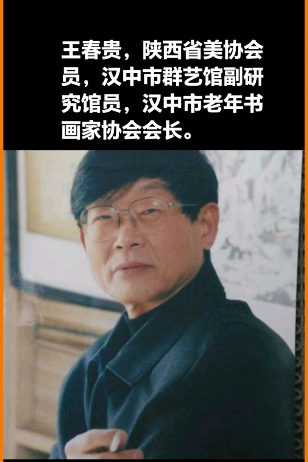 陕南汉中书画家王春贵草书作品欣赏（图21）