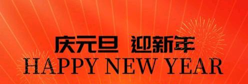 《踏上新征程 再展新风采》——2025年新年献词·作者:成振林/陕西宝鸡（图2）