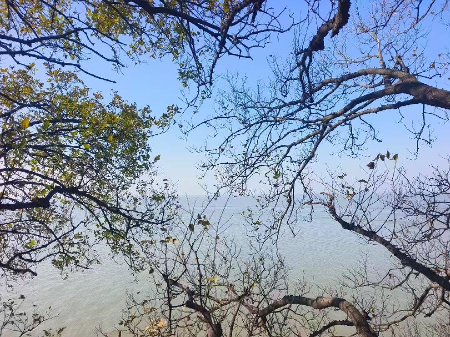 邦庆最新（跨年）晨思语三则（13）（图4）
