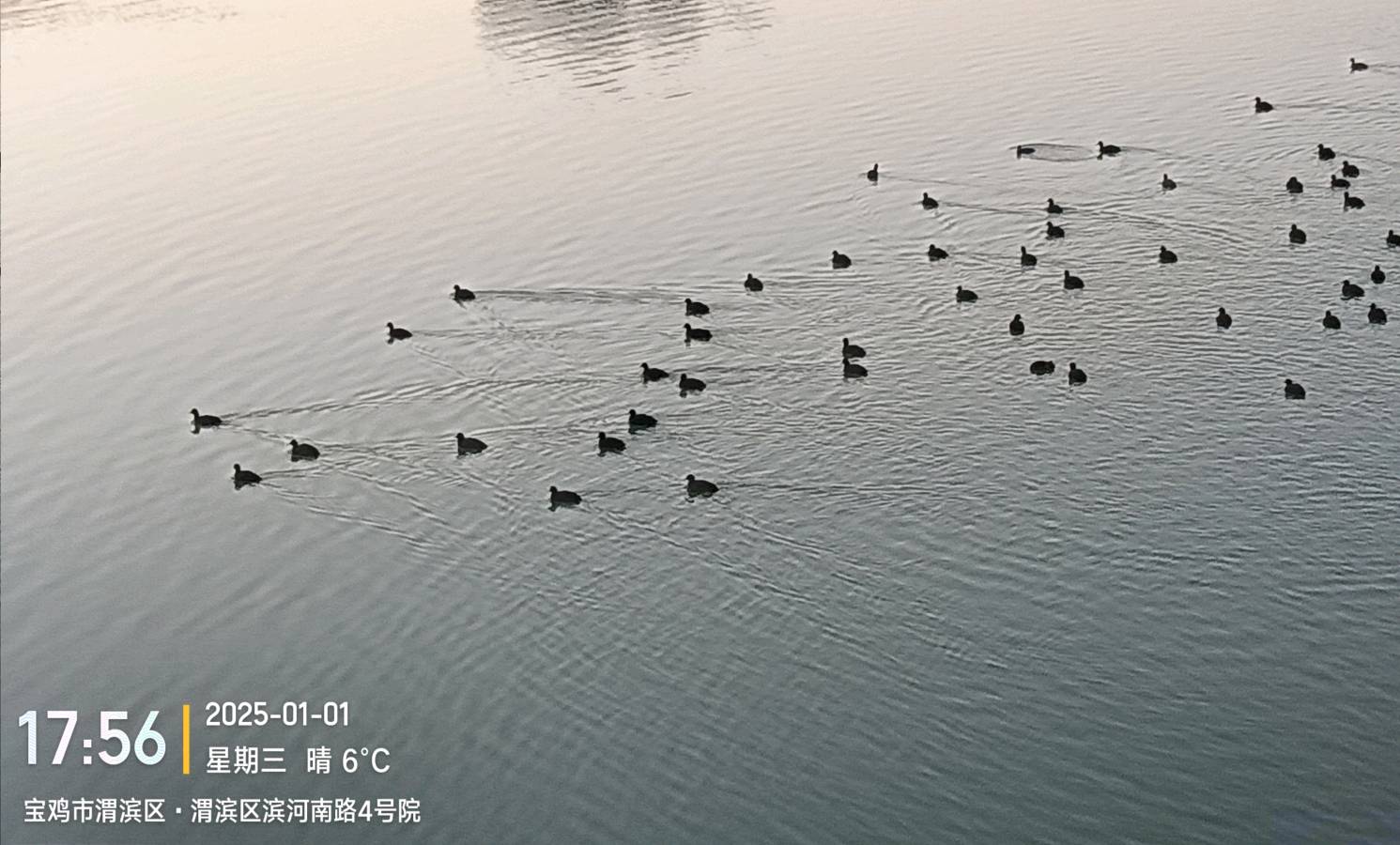 《2025年元旦·宝鸡景色》摄影:强小娜/陕西宝鸡（图9）