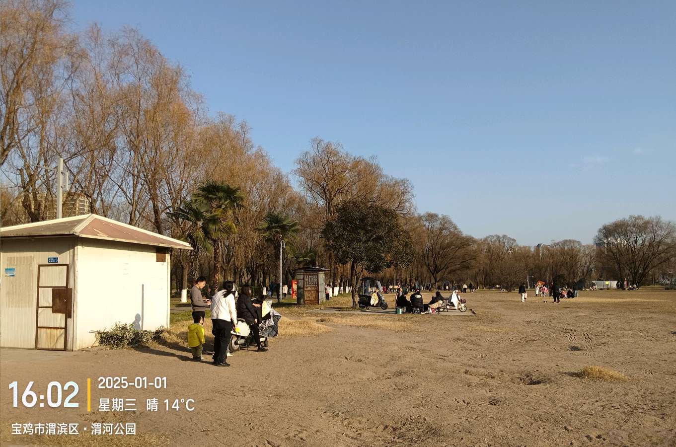 《2025年元旦·宝鸡景色》摄影:强小娜/陕西宝鸡（图6）