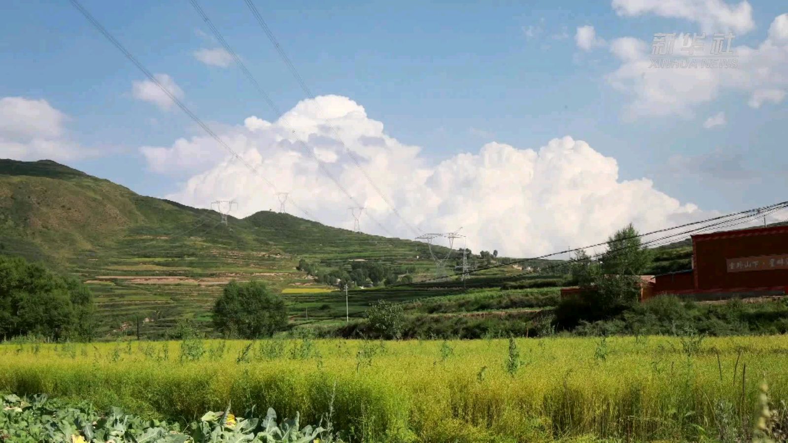 《乡音》作者/主播:心如大海 审核:李苹 音频制作:伊梦 主编/胡琴（图3）