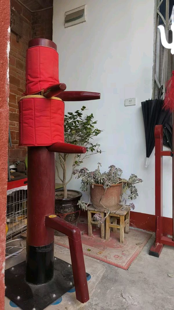 郝秀建的《我的木人桩》