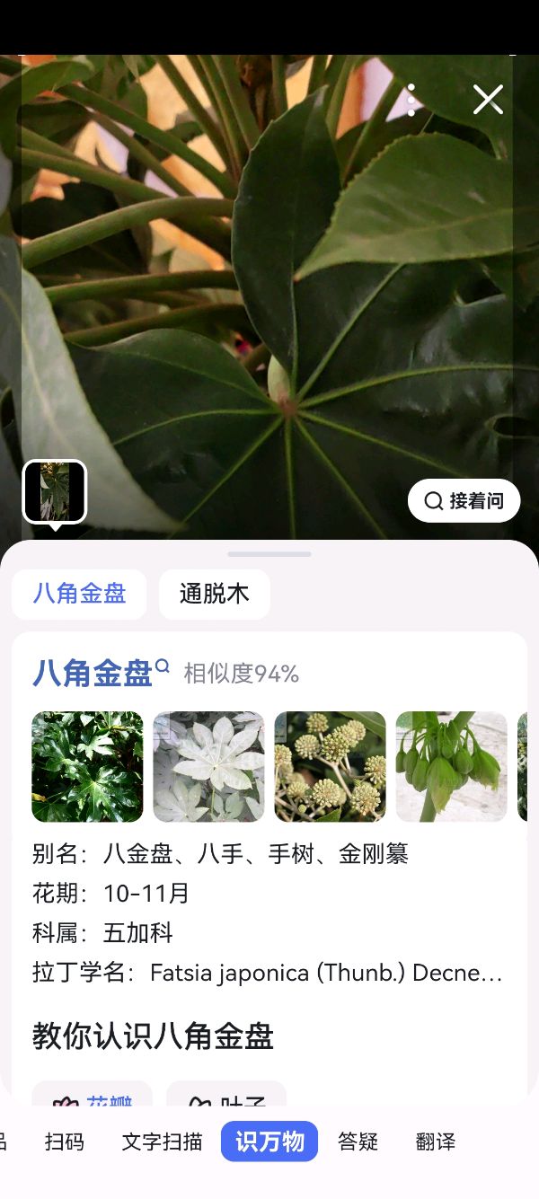 智能手机“识万物”的功能真神奇（图37）