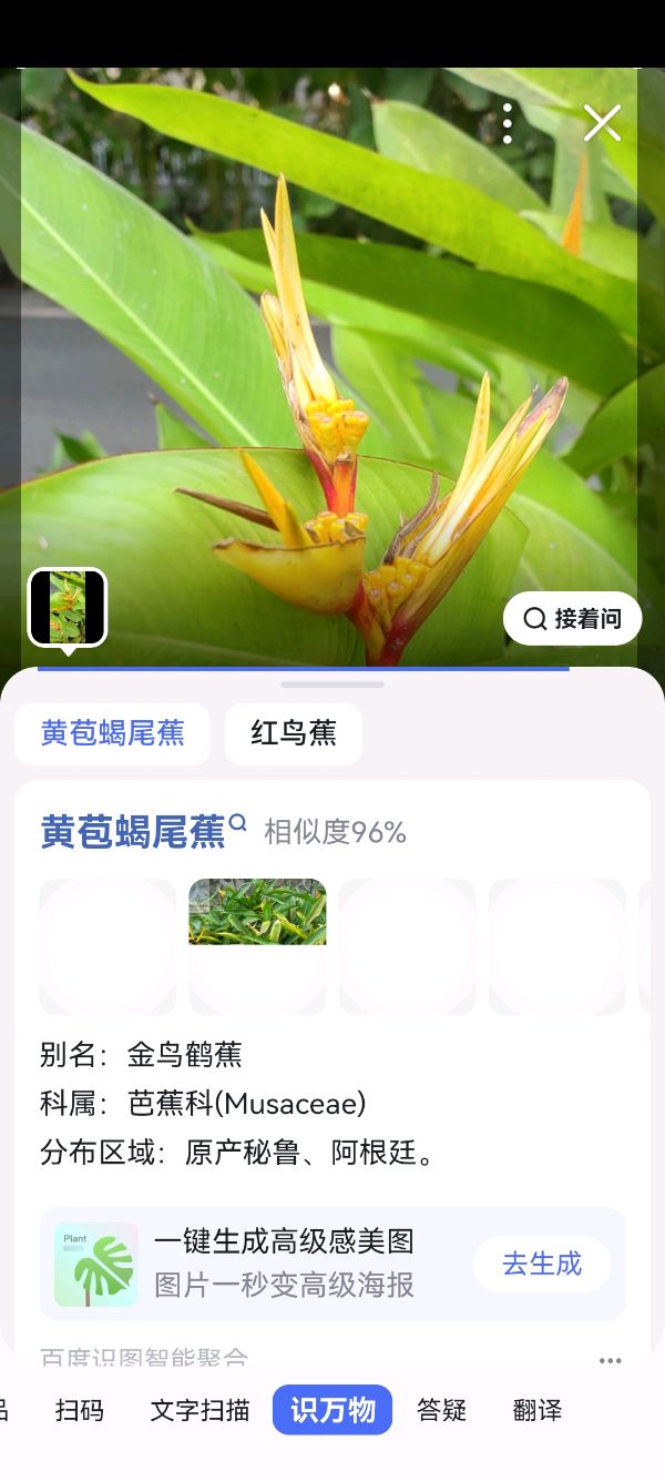 智能手机“识万物”的功能真神奇（图72）