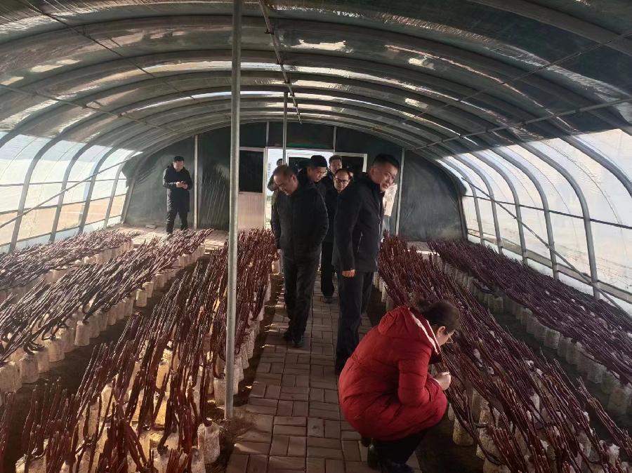 山东省产品质量检验研究院副院长邓小波一行来聊城调研（图7）